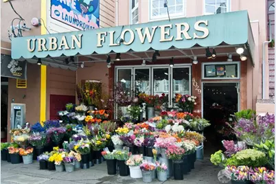 1971 15th Street, San Francisco, CA 94114 - Photo 24