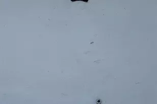 525 Huntington Ave, San Bruno, CA 94066 - Photo 8