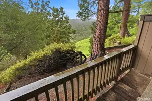 3355 Brittan Ave, San Carlos, CA 94070 - Photo 2