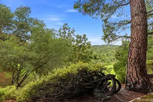 3355 Brittan Ave, San Carlos, CA 94070 - Photo 8