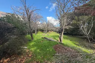236 King Ave, Piedmont, CA 94610 - Photo 68