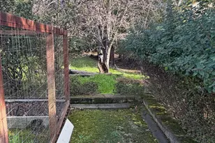 236 King Ave, Piedmont, CA 94610 - Photo 66