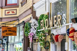 1546 Dolores St, San Francisco, CA 94110 - Photo 66