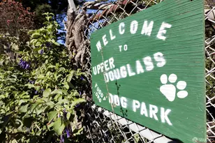 106 Valley St, San Francisco, CA 94131 - Photo 82