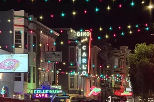 165 Valparaiso St, San Francisco, CA 94133 - Photo 70