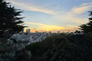 165 Valparaiso St, San Francisco, CA 94133 - Photo 52