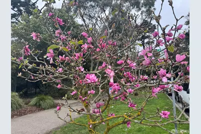 1484 18th Avenue, San Francisco, CA 94127 - Photo 40