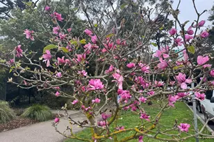 1484 18th Ave, San Francisco, CA 94127 - Photo 40