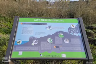 138 Summit Way, San Francisco, CA 94132 - Photo 52