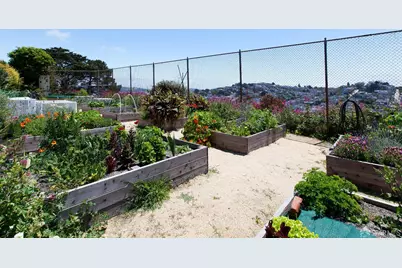 5 Vulcan Stairway, San Francisco, CA 94114 - Photo 54