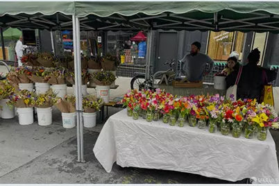 874 27th Avenue, San Francisco, CA 94121 - Photo 64