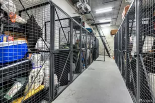 3131 Pierce St, San Francisco, CA 94123 - Photo 40