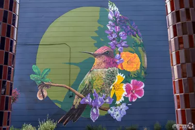 473 Leland Avenue, San Francisco, CA 94134 - Photo 66