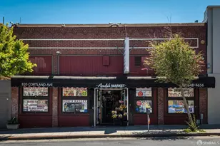 166 Highland Ave, San Francisco, CA 94110 - Photo 90