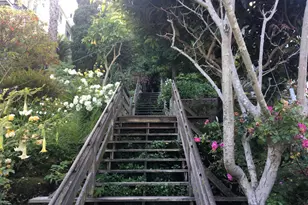 220 Lombard St, San Francisco, CA 94111 - Photo 36