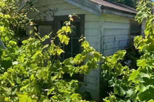 271 Granada Ave, San Francisco, CA 94112 - Photo 8