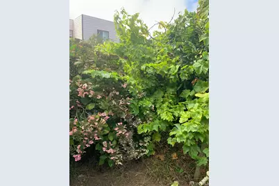 271 Granada Avenue, San Francisco, CA 94112 - Photo 12