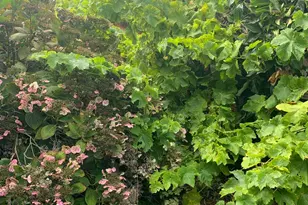 271 Granada Ave, San Francisco, CA 94112 - Photo 12