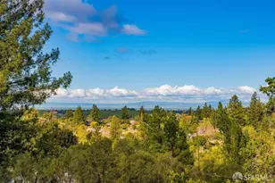 25 Siesta Ct, Portola Valley, CA 94028 - Photo 78