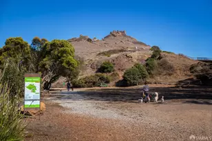 117 Divisadero St, San Francisco, CA 94117 - Photo 40