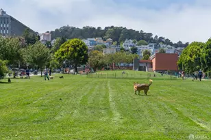 4092 17th St, San Francisco, CA 94114 - Photo 38