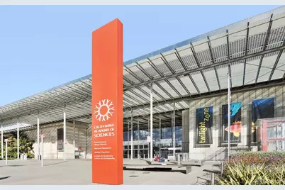 494 46th Avenue, San Francisco, CA 94121 - Photo 88