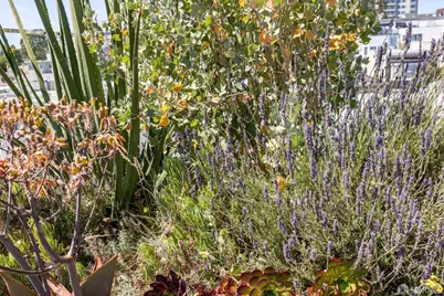 160 Bernard Street, San Francisco, CA 94106 - Photo 64