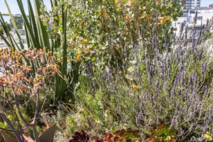 160 Bernard St, San Francisco, CA 94106 - Photo 64