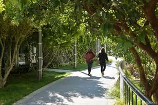 301 Mission St, San Francisco, CA 94105 - Photo 68