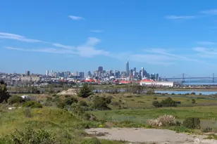 21 Kirkwood Ave, San Francisco, CA 94124 - Photo 28