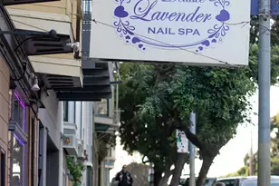 169 Parnassus Ave, San Francisco, CA 94117 - Photo 58