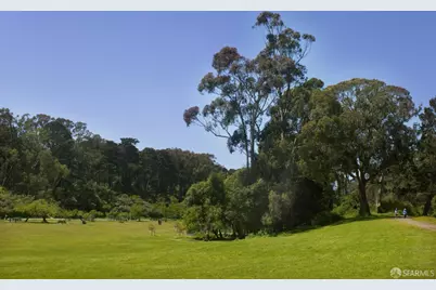 169 Parnassus Avenue, San Francisco, CA 94117 - Photo 68