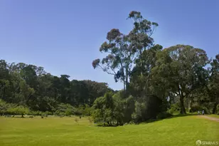 169 Parnassus Ave, San Francisco, CA 94117 - Photo 68