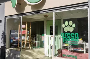 169 Parnassus Ave, San Francisco, CA 94117 - Photo 62