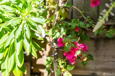 631 San Bruno Avenue, San Francisco, CA 94107 - Photo 52