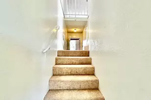 19 Blossom Ct, Daly City, CA 94014 - Photo 28