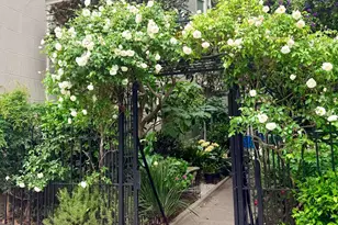 1880 Jackson St, San Francisco, CA 94109 - Photo 70