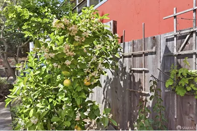 527 Congo Street, San Francisco, CA 94131 - Photo 20