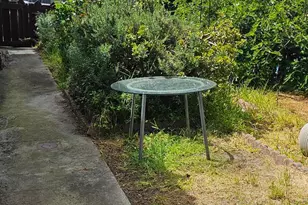 22 Morrell St, San Francisco, CA 94109 - Photo 4