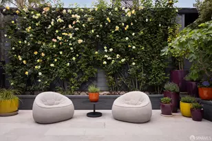 930 Chestnut St, San Francisco, CA 94109 - Photo 10