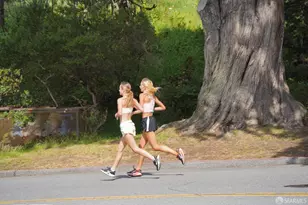 384 Rolph St, San Francisco, CA 94112 - Photo 60