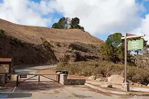 267 Anderson St, San Francisco, CA 94110 - Photo 44