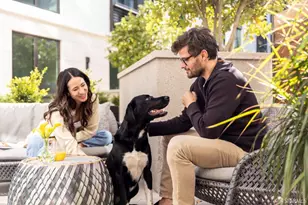 1 Bristol Court, San Francisco, CA 94130 - Photo 22