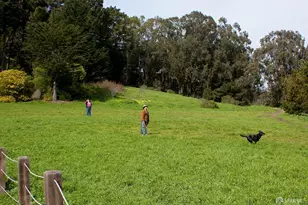 29 Concord St, San Francisco, CA 94112 - Photo 48