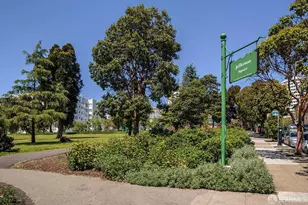1310 Fillmore St, San Francisco, CA 94115 - Photo 50