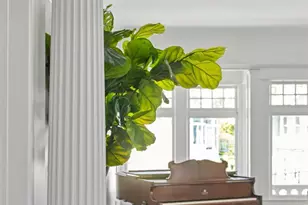 2677 California St, San Francisco, CA 94115 - Photo 14