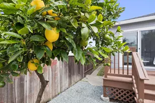 10205 Longfellow Ave, Oakland, CA 94603 - Photo 32