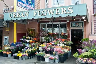 609 Castro St, San Francisco, CA 94114 - Photo 26