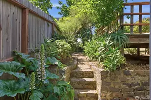 6121 California St, San Francisco, CA 94121 - Photo 58