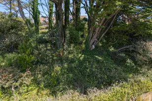 727 Lockhaven Dr, Pacifica, CA 94044 - Photo 48